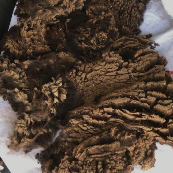 Feito por encomenda - Chocolat  natural - Image 3